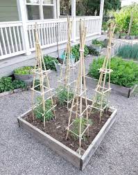 Garden Trellis Ideas For Your Outdoor Space