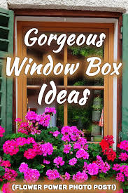 40 gorgeous window box ideas flower