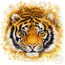 Тигр морда рисунок