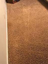 immaculate carpet immaculate carpet