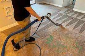 nature s way carpet cleaning local top