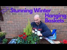 winter hanging basket