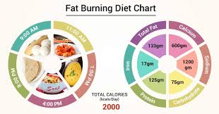 Diet Chart For Fat Burning Patient Fat Burning Diet Chart