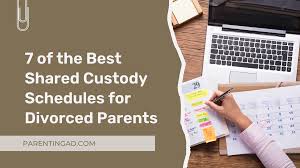 7 of the best shared custody schedules
