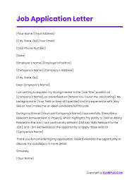job application letter 45 exles