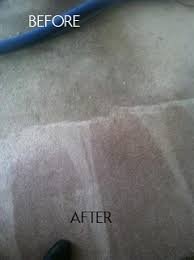ss carpet cleaning rug cleaning