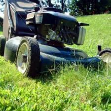 Choosing The Best Lawnmower Height Setting Thriftyfun