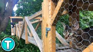 world s best outdoor cat enclosure