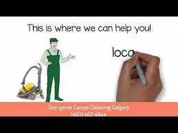 expert area rug cleaning calgary best