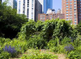What Is An Urban Garden Urbanaglaw Org