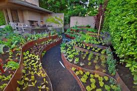 a steep backyard into a terraced garden