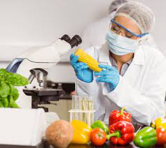 curso Experto en Biotecnología Alimentaria - Escuela el Gremio