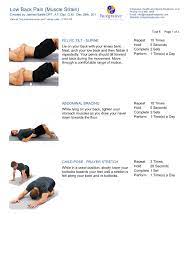 exercise program for low back pain