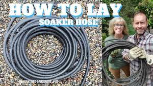 soaker hose in our side garden