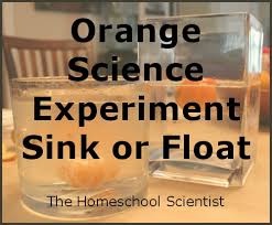 science experiments with oranges the