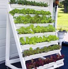 How To Create A Vertical Garden At Home