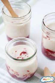 homemade fruit yogurt momables