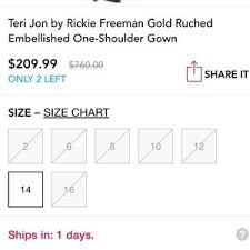 Teri Jon By Rickie Freeman One Shoulder Gown Nwt