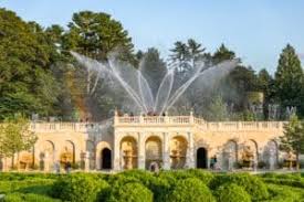 illuminated fountain shows