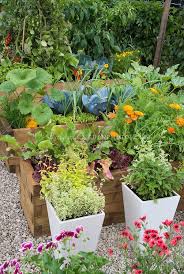 Herbs In Containers Vegetable Garden