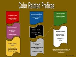 Color Related Prefixes Poster For Medical Terminology
