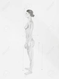 Vista Lateral Mujer Anatómicas Dibujo Desnudo Lápiz Fotos, retratos,  imágenes y fotografía de archivo libres de derecho. Image 23653530