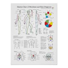Shiatsu Acupuncture Meridians And Hara Diagnosis Poster