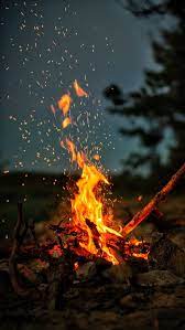 fire cing flame forest nature