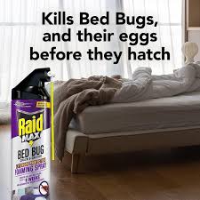 raid max bed bug crevice