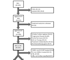 Flow Chart Of Patients Included In The Present Analysis Nhl