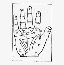 Palmistry Drawing Thumb Chart Palm Reading Clip Art Png
