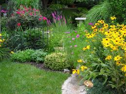 Rain Garden Design How To Create A