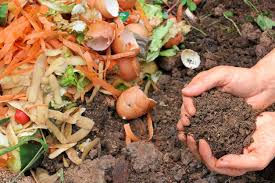 Composting In Singapore How To Turn