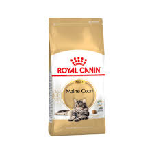 royal canin maine pet food