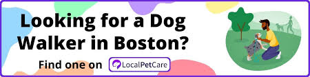 dog friendly restaurants in boston ma