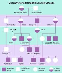 Family Tree Of Queen Victoria Showing Hemophilia Research