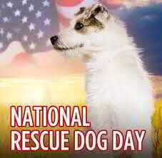 Panama news 3 mins ago. Happy National Rescue Dog Day Show Us Your Rescue Dog Pics Ocean County Scanner News