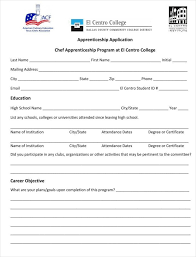 9 appiceship application form