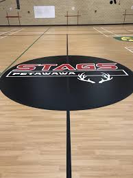 vsport cushioned vinyl sports flooring