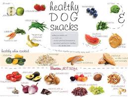 Fruit For Dogs Chart Goldenacresdogs Com