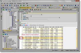 pasting rows between grids in sql developer