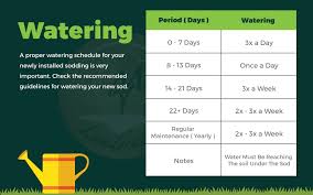 Cheatsheet Taking Care Of Your New Sod Grass From Day 1 To