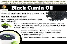 Wow onion black seed hair oil. Ayurvedic Oils For Hair Loss Treatment Essential Oil