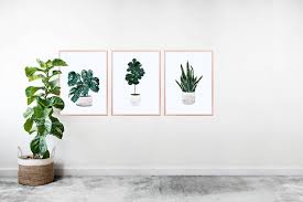 House Plant Wall Art Prints