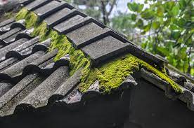 remove moss from the roof hulsey roofing