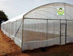 Greenhouse farming: BusinessHAB.com