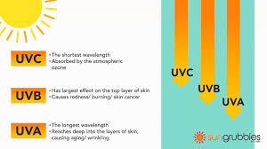 Difference Between Uva And Uvb What You Need To Know