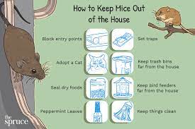 how to keep mice out of the house