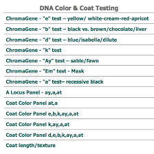 Dogs Dna Color Chart