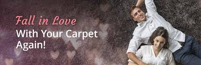 carpet cleaning brothers